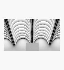 Museum Ceiling Photographic Print