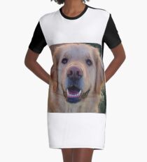 Gracie Graphic T-Shirt Dress
