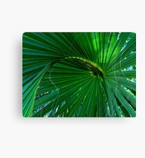 Playful Palm Canvas Print