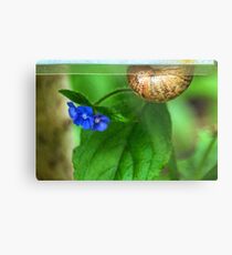 Snail Mail Delivering These Flowers Metal Print