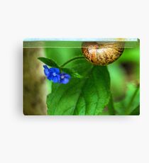 Snail Mail Delivering These Flowers Canvas Print