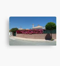 Spanish Splendour Canvas Print