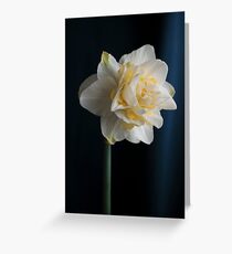 Butter and Eggs Daffodil Greeting Card