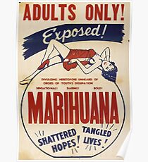 Adults Only: Marihuana Exposed! Poster