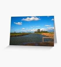 Polder Schouwen Greeting Card