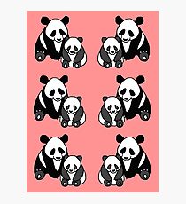 Panda family pattern Photographic Print