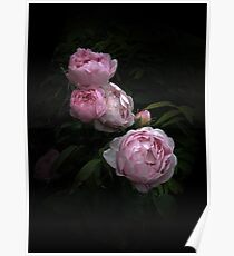 Constance Spry Poster