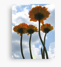 Up to the Sky Canvas Print