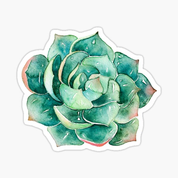 Watercolor Succulent sticker Sticker