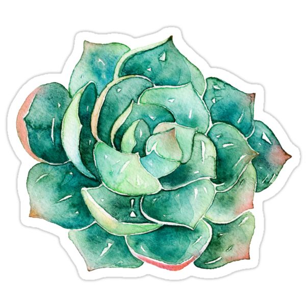 watercolor succulent sticker stickers by southprints