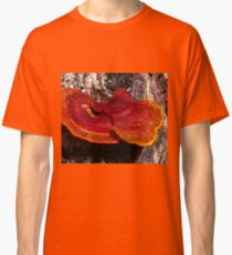 Guatemala Tree Fungus Classic T-Shirt