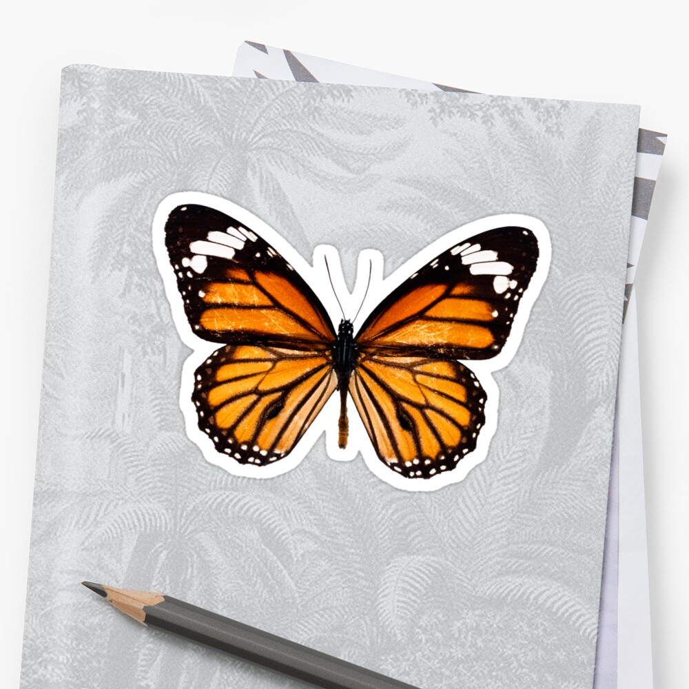 Monarch Butterfly Sticker Sticker By Southprints Redbubble 