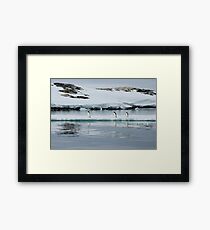 Penguin Party Framed Print