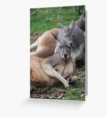 Lazing Around Greeting Card