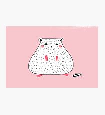 Hamster Photographic Print