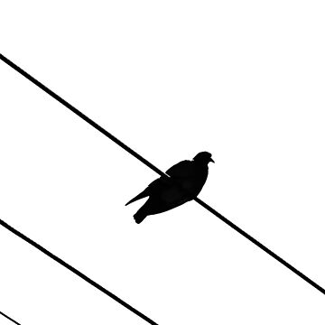 Artwork thumbnail, Bird on a Wire by Tiffany