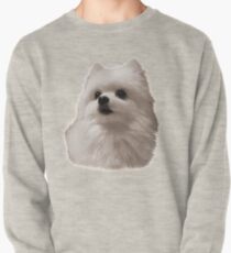 Gabe the Dog - Geburtstag Sweatshirt