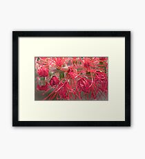 bottle brush Framed Print