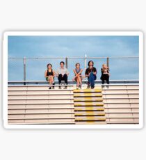 The Perks of Being a Wallflower Cast Sticker