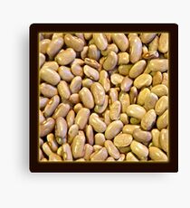 Dried Bean 1 Canvas Print