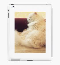 Sleeping Beauty iPad Case/Skin