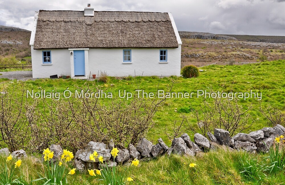 "rural irish cottage in the burren countryside, county clare, ireland" by Noel Moore Up The