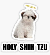 Holy Shih Tzu Sticker