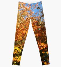 Early November Morning Leggings
