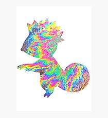 Kecleon used Synchronoise Photographic Print