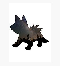 Poochyena used Assurance Photographic Print