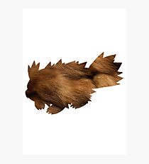 Zigzagoon used Tail Whip Photographic Print