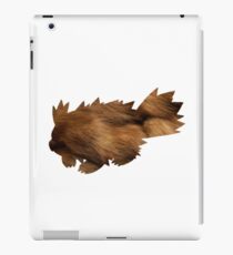 Zigzagoon used Tail Whip iPad Case/Skin