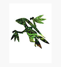 Grovyle used Leaf Blade Photographic Print