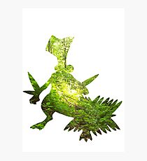 Sceptile used Leaf Storm Photographic Print