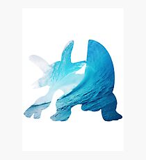 Swampert used Muddy Water Photographic Print