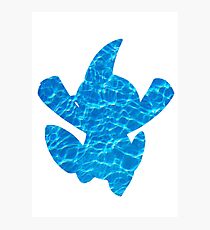 Marshtomp used Water Gun Photographic Print