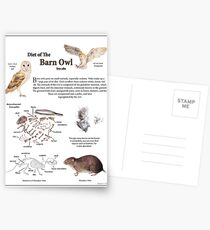 Diet of the Barn Owl Postcards