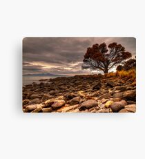 Coswell Beach Canvas Print