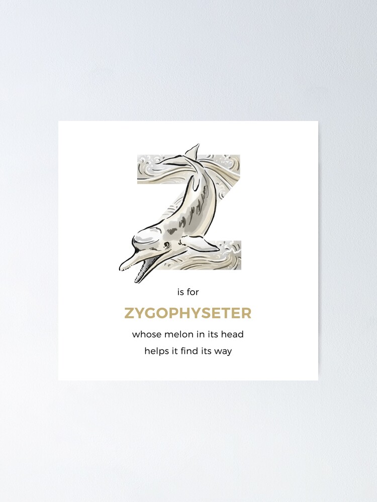 Alternate view of Z is for Zygophyseter Poster