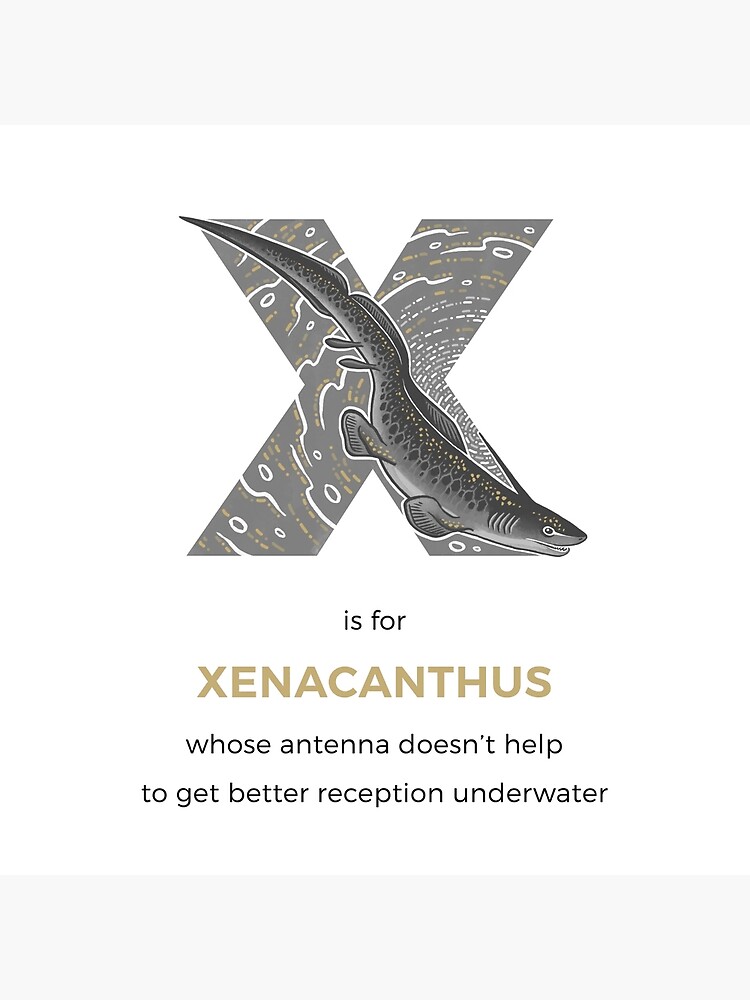 X is for Xenacanthus by franzanth