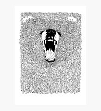 Grizzly - Fineliner Illustration Photographic Print