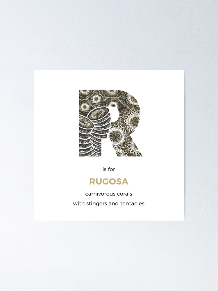 Alternate view of R is for Rugosa Poster