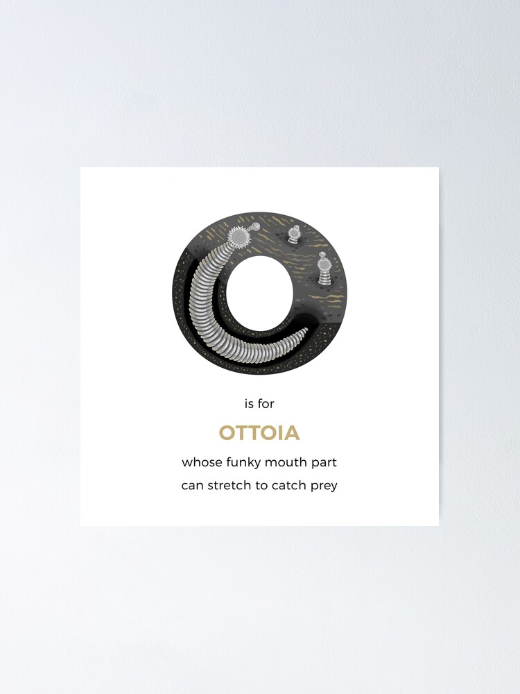 Alternate view of O is for Ottoia Poster