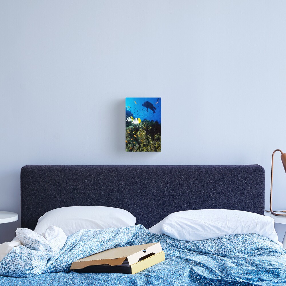 Pixie dreaming Canvas Print
