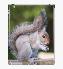 Squirrel On Fence 3 iPad Case/Skin