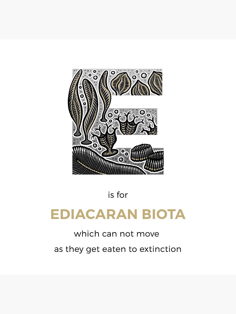 E is for Ediacaran Biota by franzanth