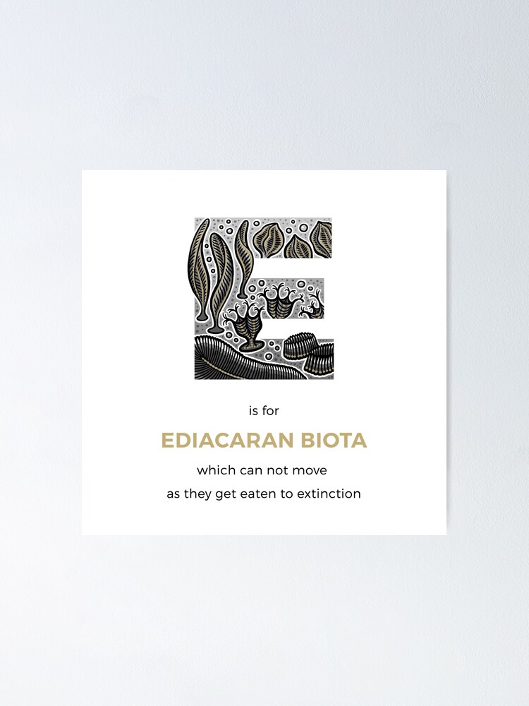 Alternate view of E is for Ediacaran Biota Poster