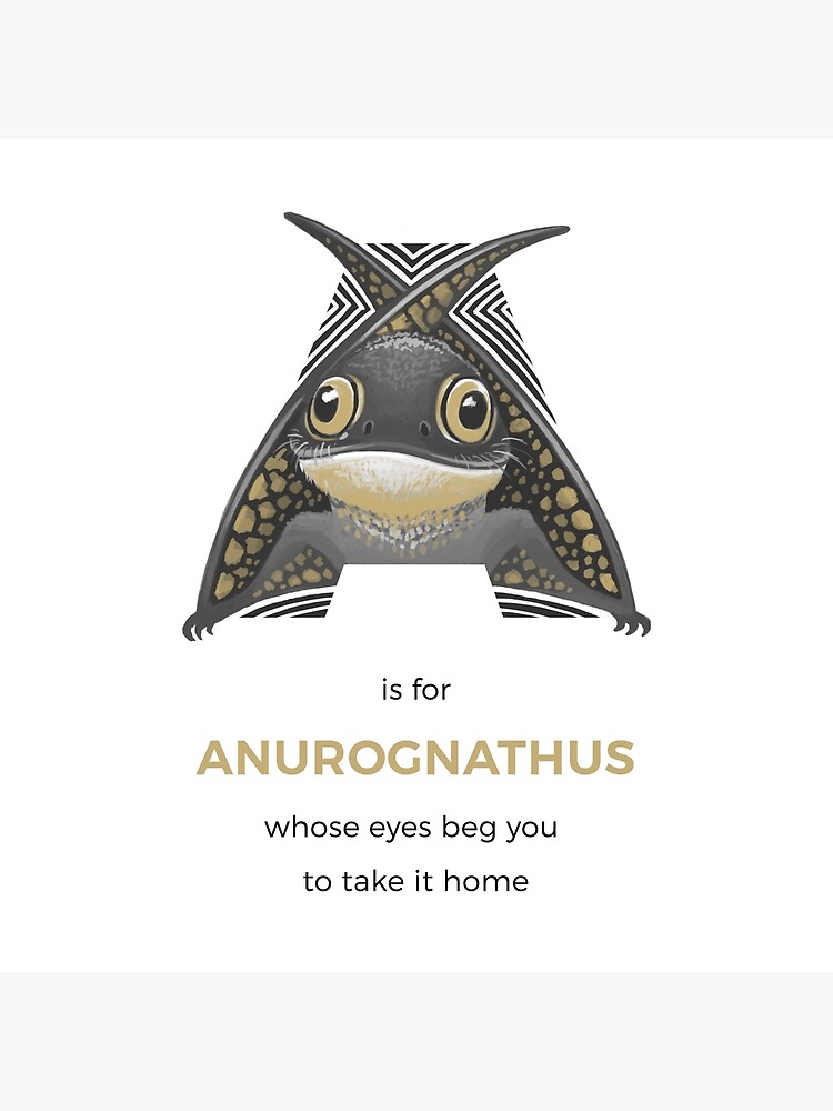 A is for Anurognathus by franzanth