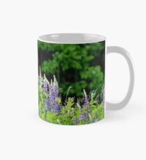 Lupins V Mug