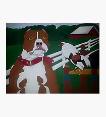 Red Pitbull and Rooster Photographic Print